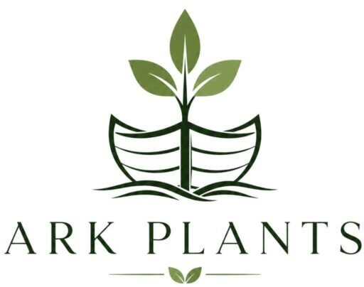 Ark Yun plants logo