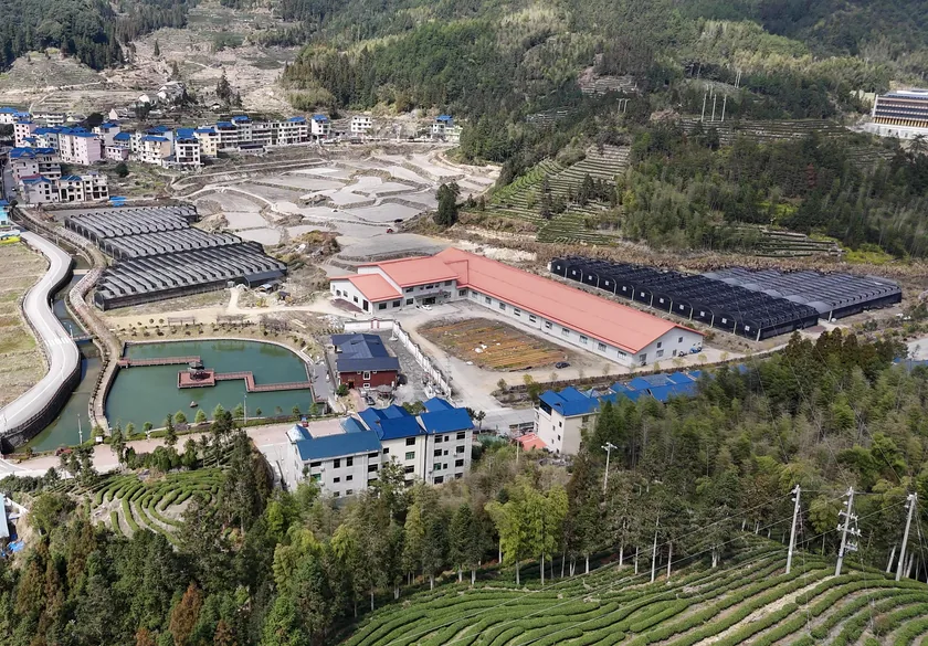 ArkYun Plants Company